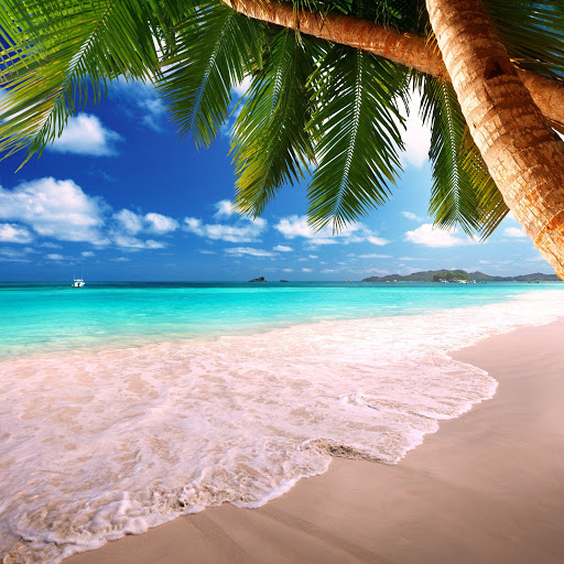 Hd-178150-ascw178150