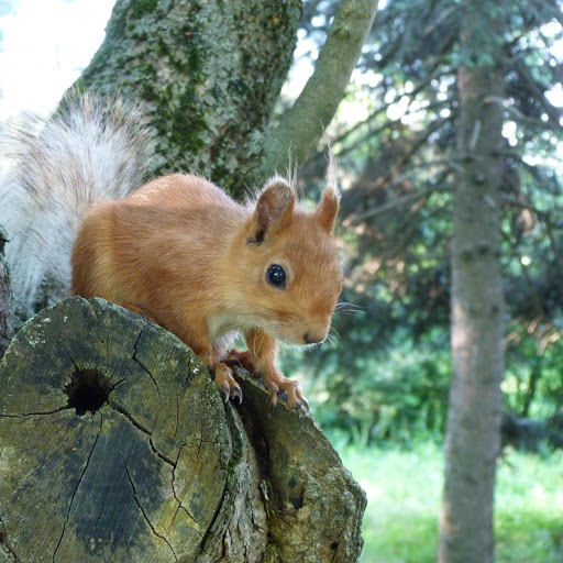 Hd-171309-ascw171309