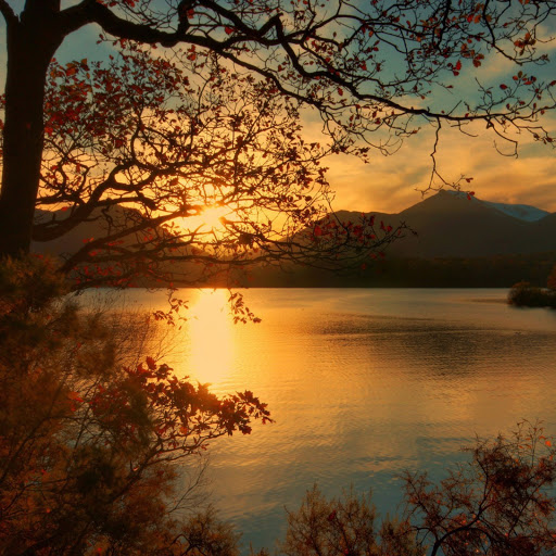 Hd-182012-ascw182012