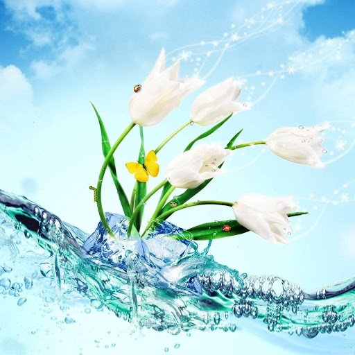 Hd-146119-ascw146119