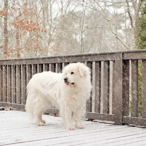 Hd-179017-ascw179017