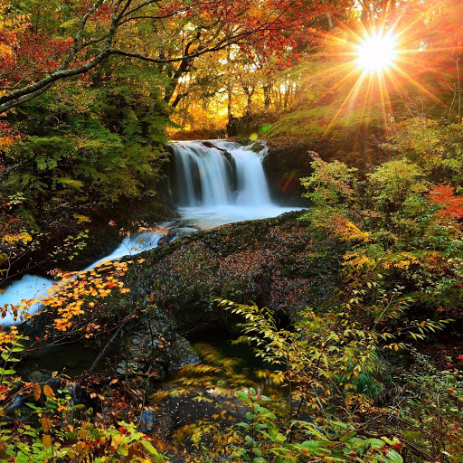 Hd-144242-ascw144242