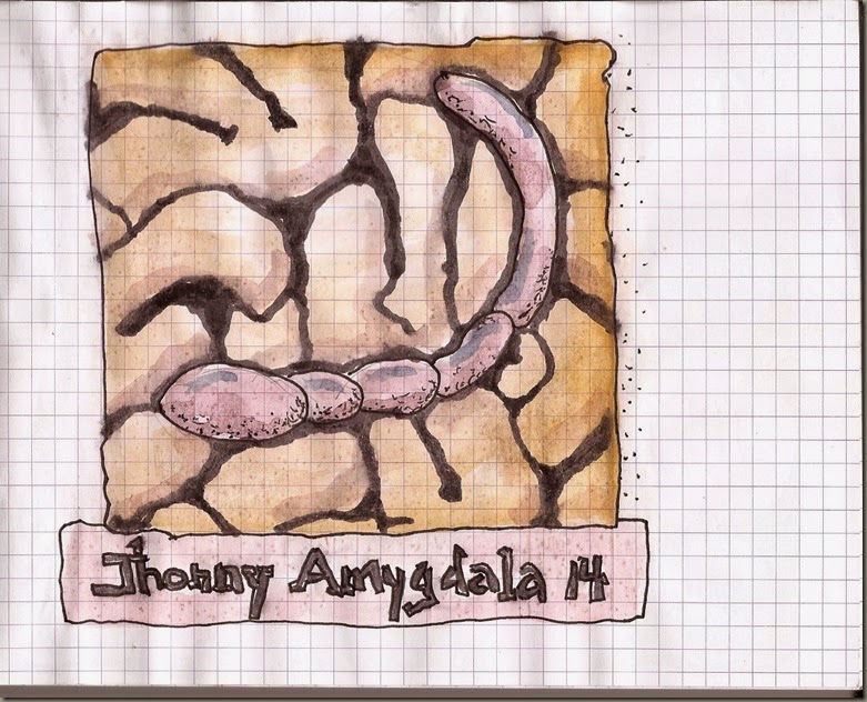 Jhonny Amygdala 14