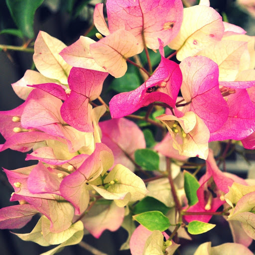 Hd-162560-ascw162560