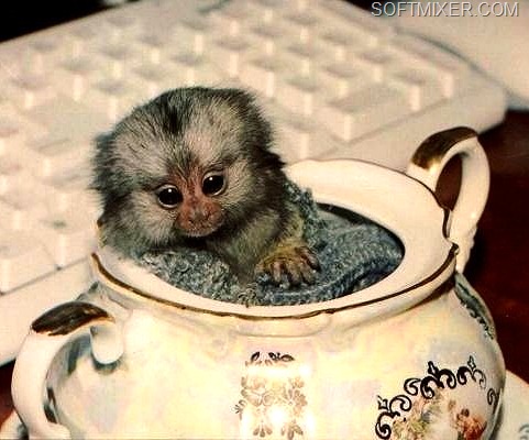 [vvv%255B18%255D.jpg]