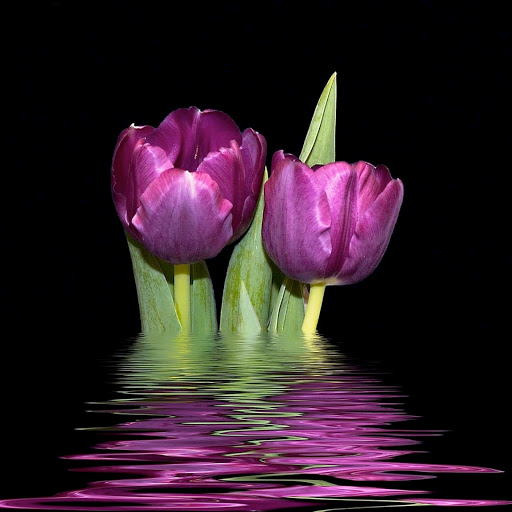 Hd-143847-ascw143847