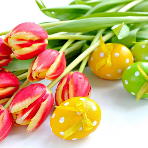 Hd-139642-ascw139642