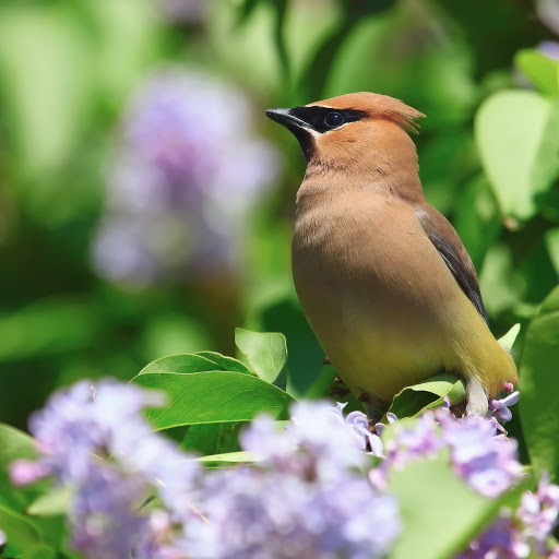 Hd-144988-ascw144988