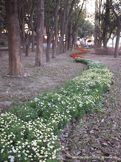 【景點】台南佳里中山公園@2014台南百花祭 : 花沒想像中的多,但還蠻適合散步的囉! 佳里區 區域 台南市 旅行 景點 