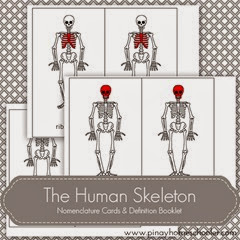 HumanSkeleton