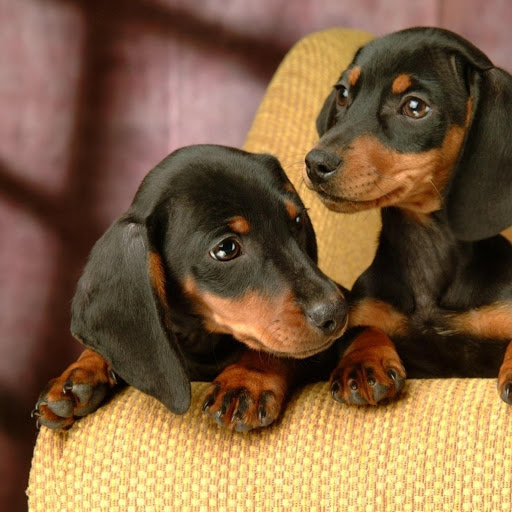 Hd-173671-ascw173671