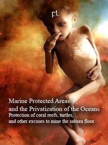 Marine Protected Areas and the Privatization of the Oceans Cover