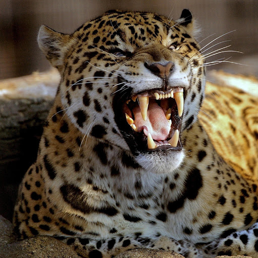 Hd-180446-ascw180446