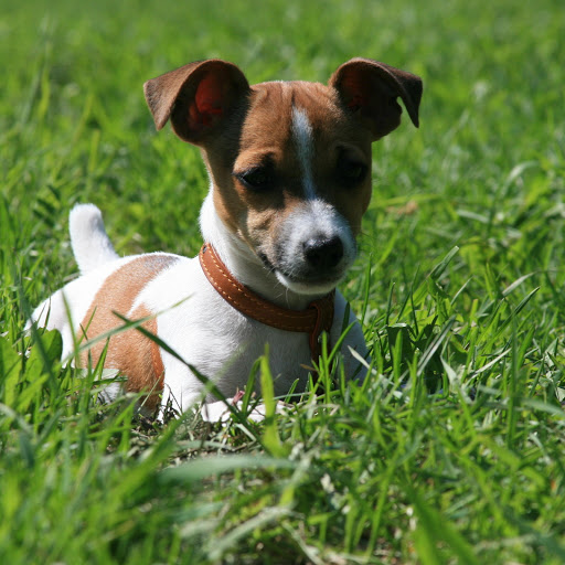 Hd-186218-ascw186218