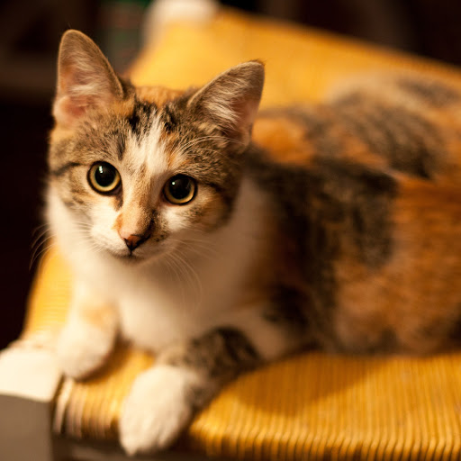 Hd-168751-ascw168751