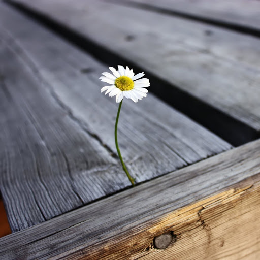 Hd-185922-ascw185922