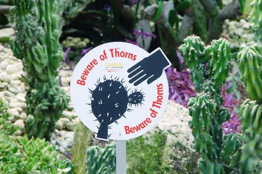 [clip_image012%255B3%255D.jpg]