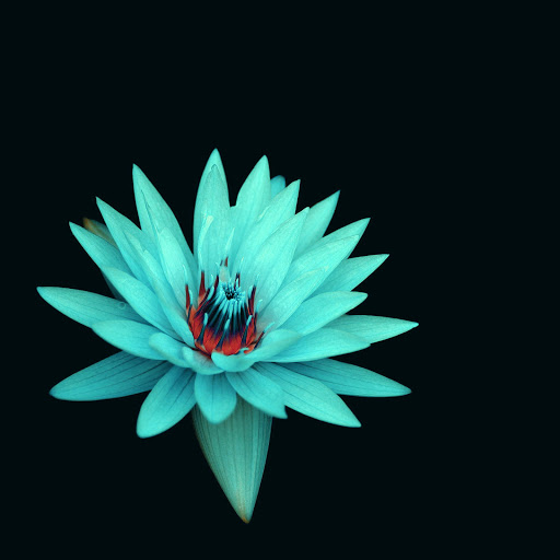 Hd-163185-ascw163185