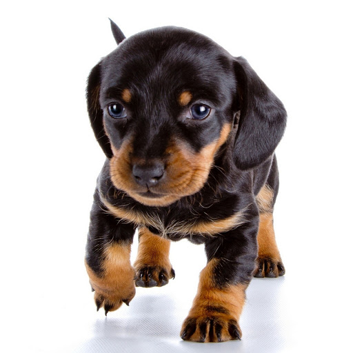 Hd-181832-ascw181832