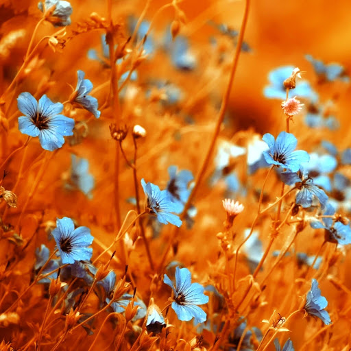 Hd-158734-ascw158734