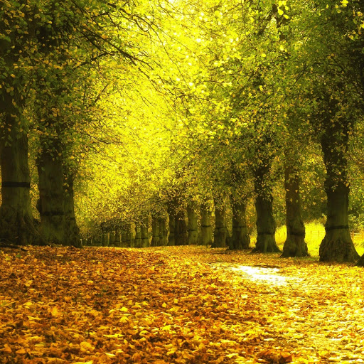 Hd-156972-ascw156972