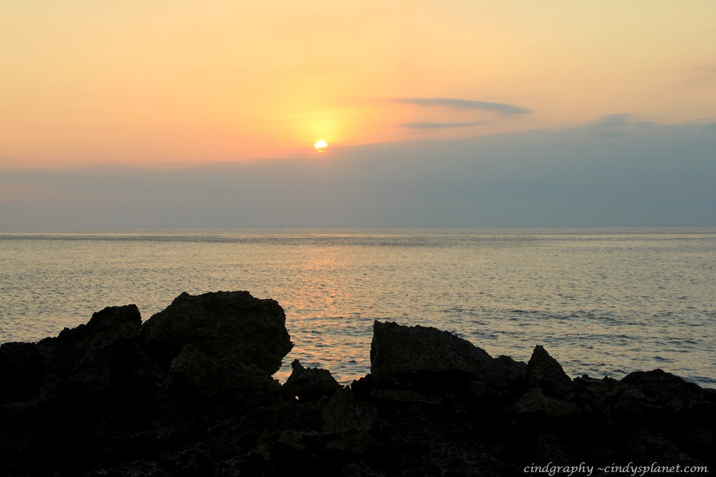 [DPP965%255B3%255D.jpg.webp]