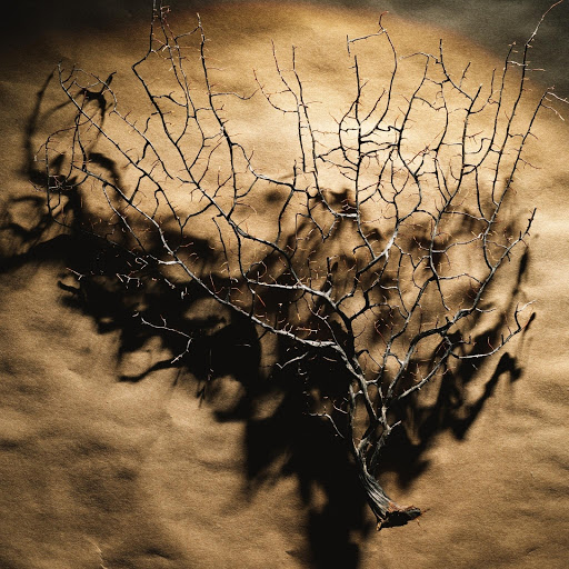 Hd-165226-ascw165226