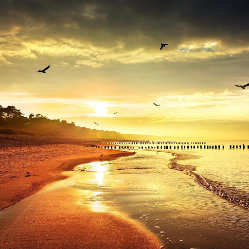 Hd-161041-ascw161041