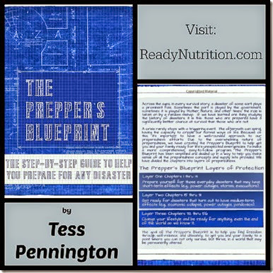 Prepper's Blueprint Review