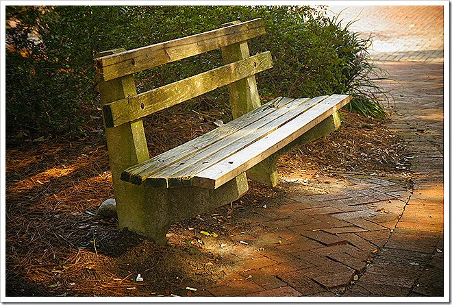 benches-public-domain-pictures-1 (399)