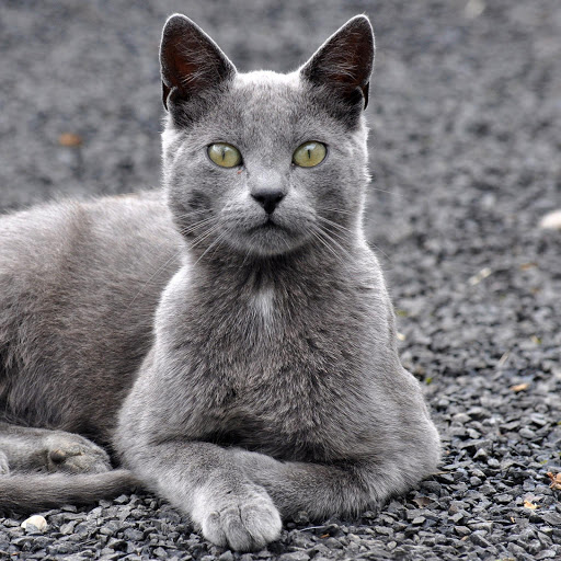 Hd-183416-ascw183416