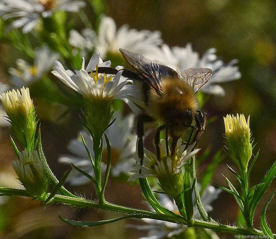 [DSC_0018%255B5%255D.jpg]