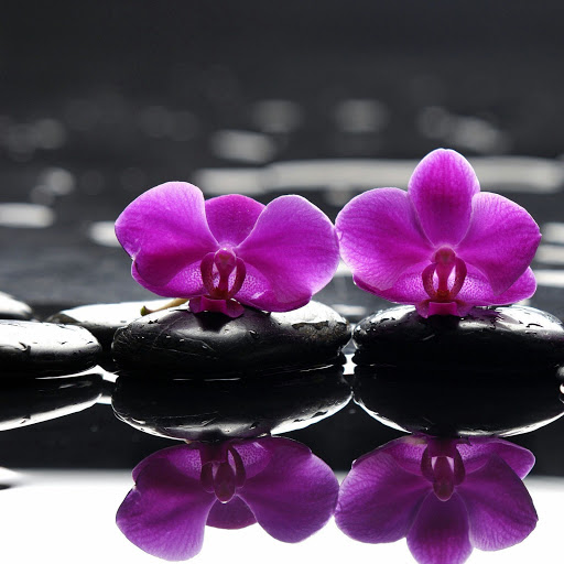 Hd-132041-ascw132041