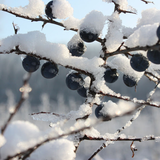 Hd-141856-ascw141856