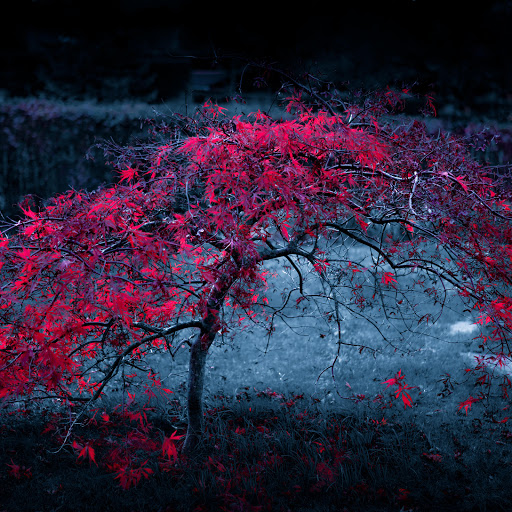 Hd-178231-ascw178231