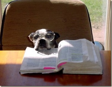 perro biblia ateo