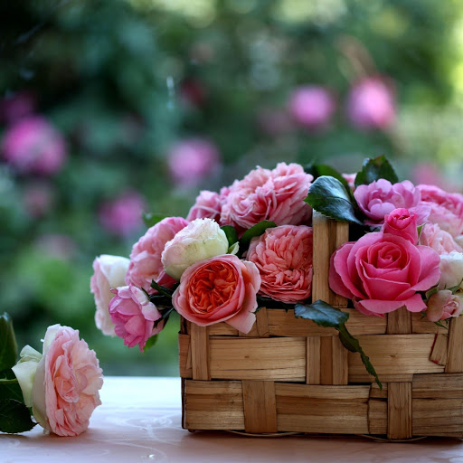 Hd-178264-ascw178264