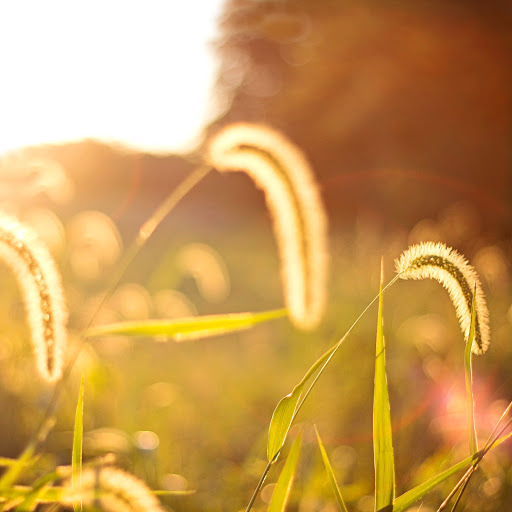 Hd-164839-ascw164839