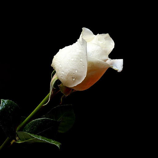 Hd-139144-ascw139144