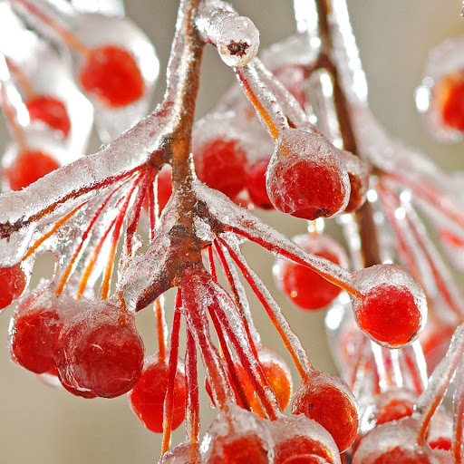 Hd-148818-ascw148818