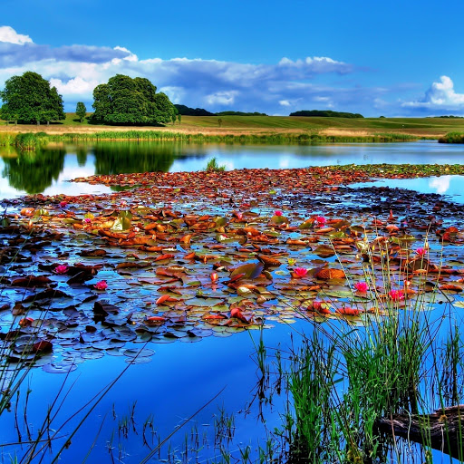 Hd-146143-ascw146143