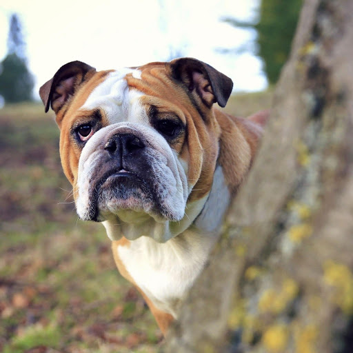 Hd-181260-ascw181260