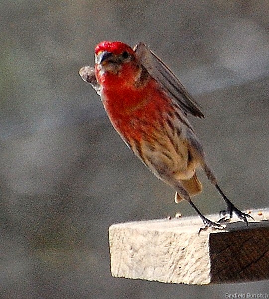 [DSC_3533%255B8%255D.jpg]