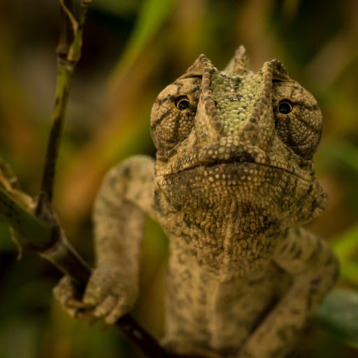 Hd-145033-ascw145033