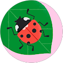 Image Google de david ERLICH