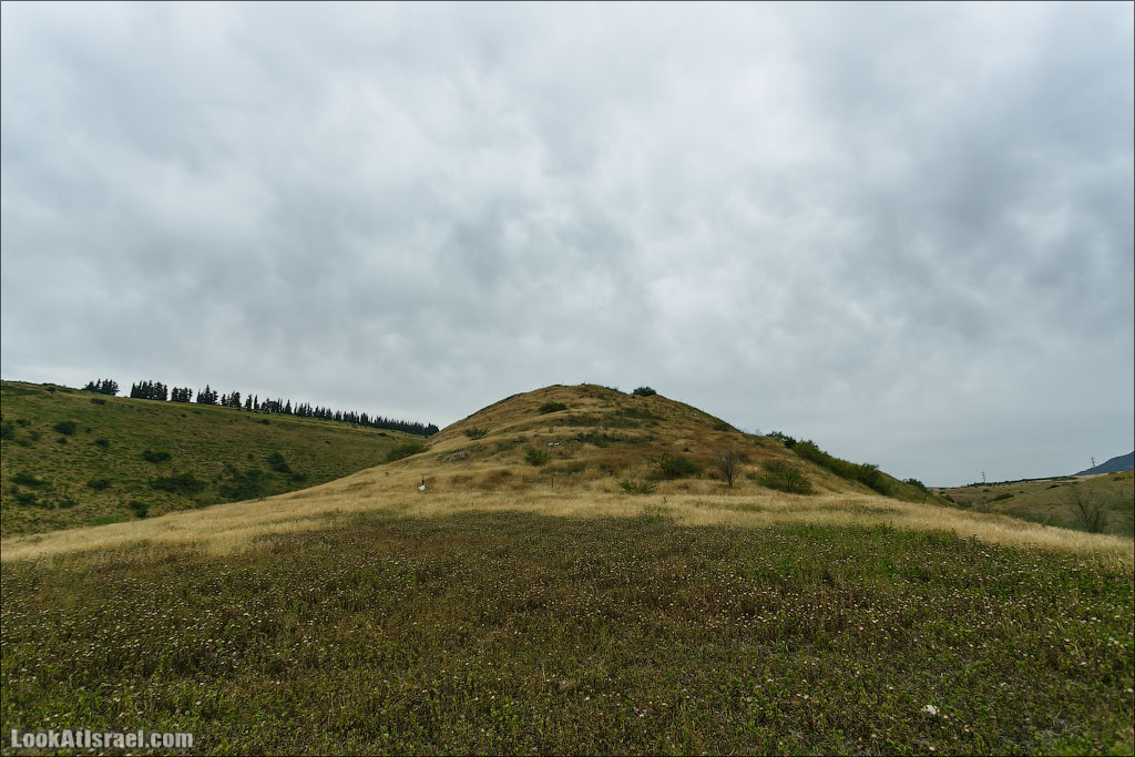 LookAtIsrael.com: Фото-блог о путешествиях по Израилю. Тель Авив, Иерусалим, Хайфа Мы тем временем сделали привал. Поступило предложение подняться на вершину этого холма. Ведь это не просто очередная горка, а Тель Рехеш! Тропы туда нет, но это не значит, что ее нельзя сделать! 