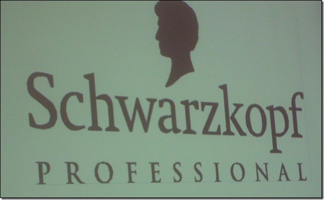 Novo Conceito: Schwarzkopf Professional