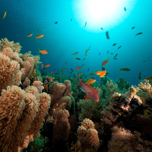 Hd-178852-ascw178852