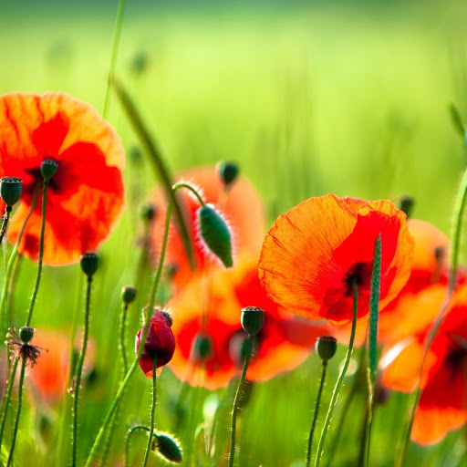 Hd-147272-ascw147272