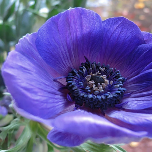 Hd-155078-ascw155078